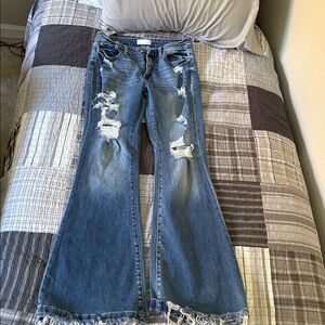 Petra Fashions Distressed Blue Jeans